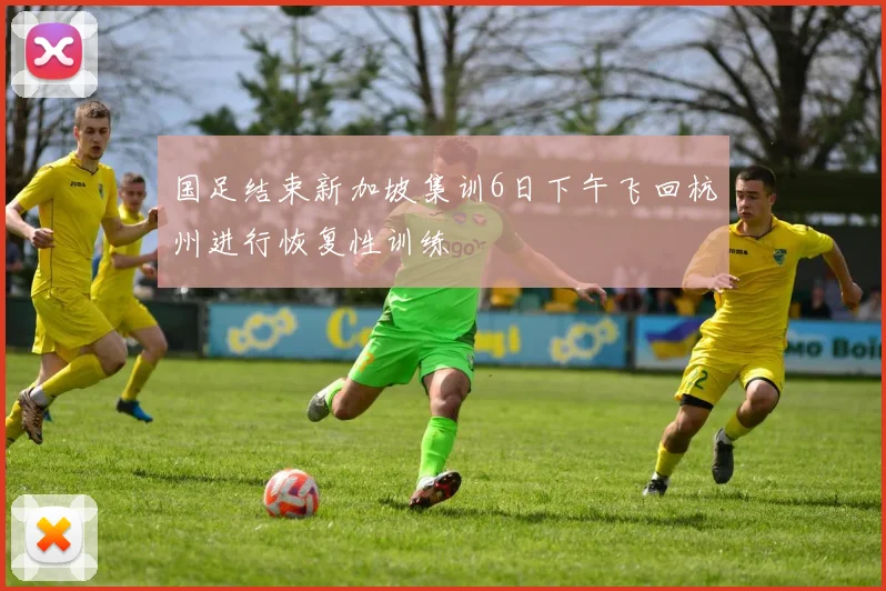 国足结束新加坡集训6日下午飞回杭州进行恢复性训练